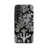 Lichenes Flechten - Ernst Haeckel Phone Case Samsung Galaxy S22 Plus / Matte Black Phone Case Adorned Intricate Silver-gray Coral Lichen