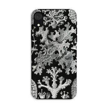 Lichenes Flechten - Ernst Haeckel Phone Case Iphone Xr / Matte Black Phone Case White Lichen Pattern Haeckel Iphone Case, Ancient Stones,