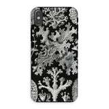 Lichenes Flechten - Ernst Haeckel Phone Case Iphone Xs / Matte Botanical-themed Phone Case Haeckel Iphone Case, Ancient Stones, Lichenes