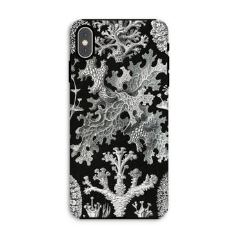Lichenes Flechten - Ernst Haeckel Phone Case Iphone Xs Max / Matte Black Phone Case White Lichen Pattern Haeckel Iphone Case, Ancient