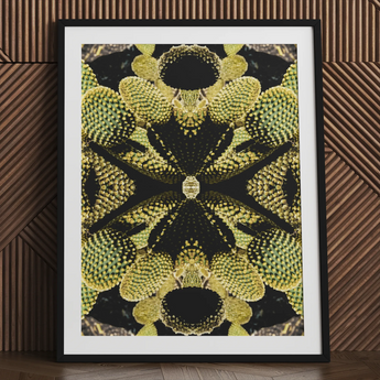 Life on Mars - Tirage d’art op botanique psychédélique / Toile, 24x32’’ / 61x81cm / Cadre noir / Passe-partout, Affiches, estampes & art visuel, Toby