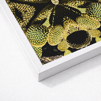 White-framed Artwork Close-up Photograph Green Yellow Cacti Spines Reign Supreme, Trippy Botanical Succulent, Xeriscape Odyssey