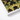 White-framed Artwork Close-up Photograph Green Yellow Cacti Spines Reign Supreme, Trippy Botanical Succulent, Xeriscape Odyssey