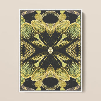 Life on Mars - Trippy Botanical Op Art Print / Canvas Framed Abstract Cactus Symmetrical Kaleidoscopic Design Cacti Reign Supreme,
