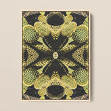 Life on Mars - Trippy Botanical Op Art Print / Canvas Framed Abstract Cactus Symmetrical Kaleidoscopic Design Cacti Reign Supreme,