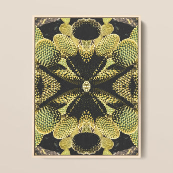 Life on Mars - Trippy Botanical Op Art Print / Canvas Framed Abstract Cactus Symmetrical Kaleidoscopic Design Cacti Reign Supreme,