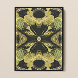 Life on Mars - Trippy Botanical Op Art Print / Canvas Framed Abstract Symmetrical Kaleidoscopic Pattern Cacti Reign Supreme, Succulent,