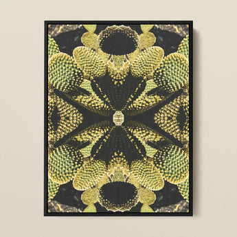 Life on Mars - Trippy Botanical Op Art Print / Canvas Framed Abstract Symmetrical Kaleidoscopic Pattern Cacti Reign Supreme, Succulent,