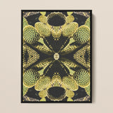 Life on Mars - Trippy Botanical Op Art Print / Canvas Framed Abstract Botanical Art Print Symmetrical Kaleidoscopic Pattern Cacti Reign