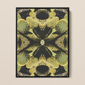 Life on Mars - Trippy Botanical Op Art Print / Canvas Framed Abstract Botanical Art Print Symmetrical Kaleidoscopic Pattern Cacti Reign