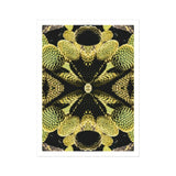 Life on Mars - Trippy Botanical Op Art Print / Canvas, Cacti Reign Supreme, Trippy Botanical Succulent, Xeriscape Odyssey