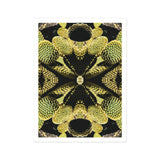 Life on Mars - Trippy Botanical Op Art Print / Canvas Kaleidoscopic Pattern Black Yellow Geometric Shapes Arranged Symmetrical Cacti Reign