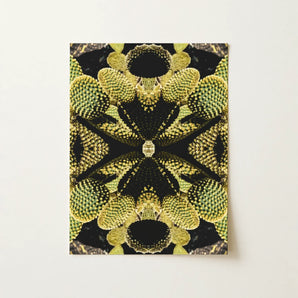 Life on Mars - Trippy Botanical Op Art Print / Canvas Rectangular Art Print Symmetrical Kaleidoscopic Design Green Cacti Reign Supreme,