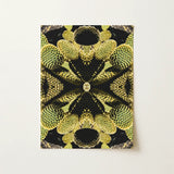 Life on Mars - Trippy Botanical Op Art Print / Canvas Rectangular Symmetrical Kaleidoscopic Design Green Cacti Reign Supreme, Succulent,