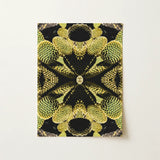 Life on Mars - Trippy Botanical Op Art Print / Canvas Rectangular Art Print Symmetrical Kaleidoscopic Design Green Cacti Reign Supreme,