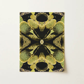 Life on Mars - Trippy Botanical Op Art Print / Canvas Rectangular Art Print Symmetrical Kaleidoscopic Design Green Cacti Reign Supreme,