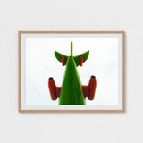 Look Up - Red and Green Fun Fair Airplane Art Print / Canvas Giclée, Living Space, Waking Dream Prints