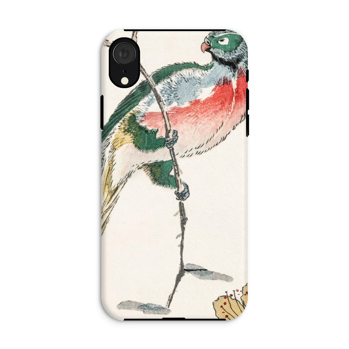 Macaw Numata Kashu Meiji Bird Art Iphone Case, Xr / Matte, Phone Case Colorful Bird Illustration Traditional Asian Painting