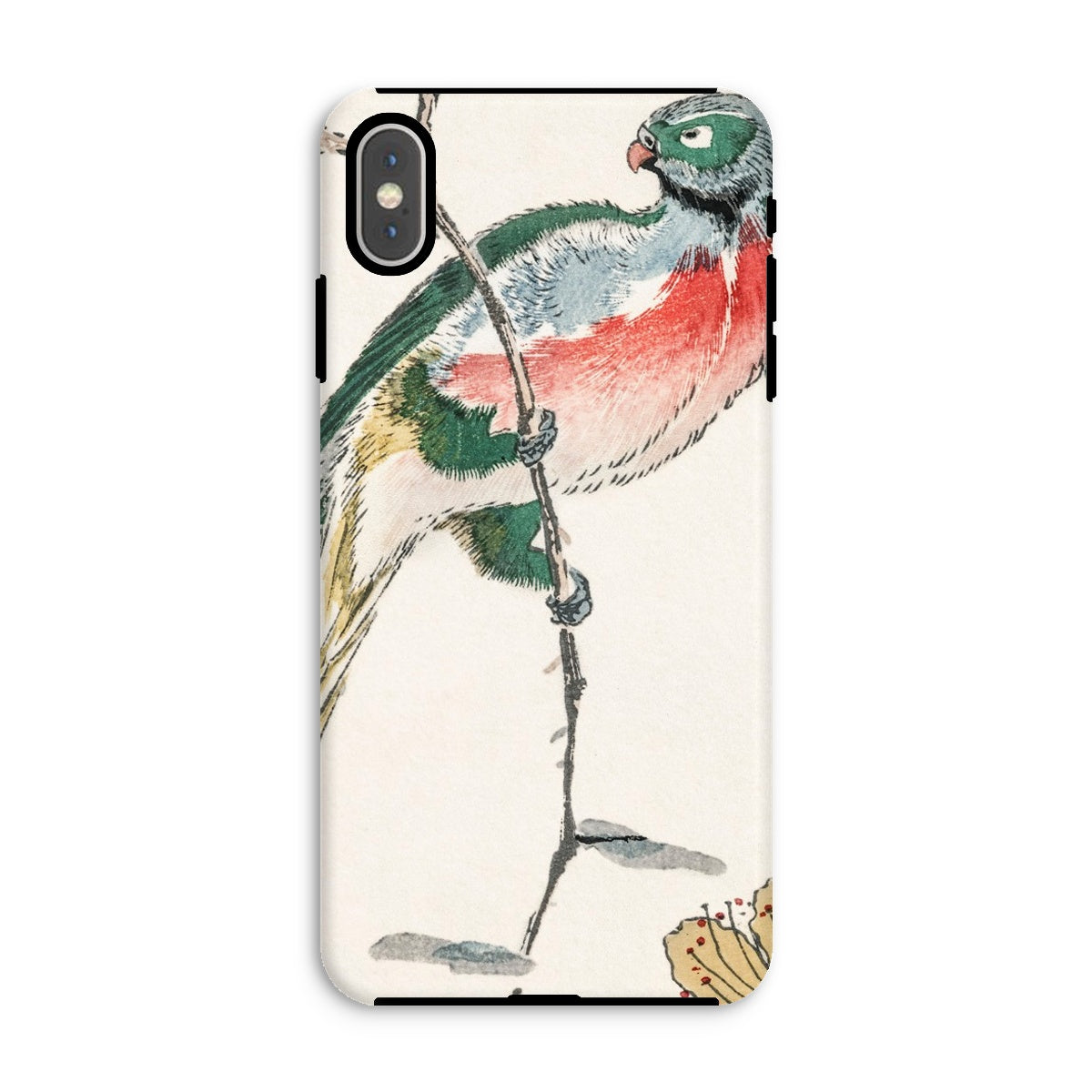 Macaw Numata Kashu Meiji Bird Art Iphone Case, Xs Max / Matte, Phone Case Colorful Bird Perched Branch Watercolor Style Illustration