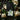 Magnolia - Charles Walter Stetson Phone Case Stetson’s, Tenebristic Void
