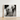 White-framed Black-and-white Photographic Print Classical Marble Statue’s Torso Male Nude, Roman Fragment, Photography Collapses, Hadrianic