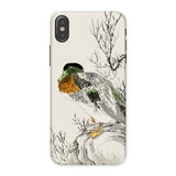 Mallard - Numata Kashu Meiji Duck Art Phone Case Iphone x / Matte Phone Case Watercolor-style Illustration Duck Perched Branch Numata