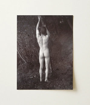 Black-and-white Photographic Print Nude Male Figure Arms Raised Man Posing Naked, Holding, Branch, Von Gloeden