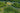 Aerial view of lush mangrove forests intertwined with winding waterways