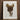 Detailed Vintage-style Illustration Brown Leather Saddle Gold-toned Metal Walter Praefke, Mclellan, 1930s Equestrian Art