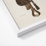 Mclellan Saddle - Walter Praefke Equestrian Art Print / Canvas Framed Vintage-style Illustration Horse Tack Set Sepia, 1930s Prints
