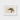 Minimalist White-framed Art Print Single Tree Lush Green Bonsai Photography, Horticultural Haiku, Photographic Ode