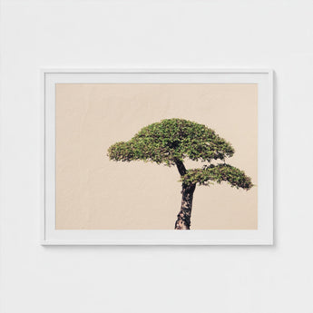 Me Myself & Bonsai - Photography Art Print / Canvas, Horticultural Haiku, Photographic Ode Prints