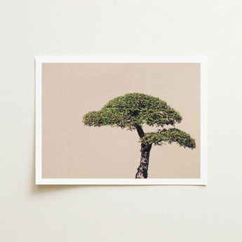 Me Myself & Bonsai - Photography Art Print / Canvas, Horticultural Haiku, Photographic Ode Prints