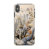 Metropolis - Surreal Cactus Art Phone Case Iphone Xs Max / Matte Cactus-themed Phone Case Surreal Cactus Art, Skyline Blooms, Succulent
