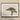 Me Myself & Bonsai - Photography Art Print, Artistically Shaped Bonsai Tree Two Distinct Tiers Foliage