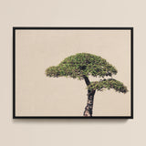 Me Myself & Bonsai - Photography Art Print / Canvas, 16x12’’ / 41x31cm / Black Frame, Posters Prints Visual Artwork, Toby Leon