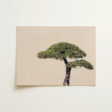 Me Myself & Bonsai - Photography Art Print / Canvas, 16x12’’ / 41x31cm / Unframed / no Border, Posters Prints Visual Artwork, Toby Leon