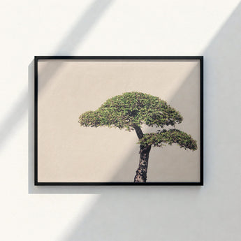 Black-framed Art Print Lush Green Bonsai Tree Textured Photography, Horticultural Haiku, Photographic Ode