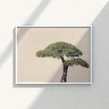 Minimalist Framed Art Print Single Lush Green Bonsai Photography, Horticultural Haiku, Photographic Ode
