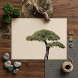 Me Myself & Bonsai - Photography Art Print / Canvas Framed Print Meticulously Pruned Bonsai Tree Lush Green Art Photography, Horticultural