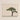 Framed Minimalist Artwork Single Lush Green Tree Dark Bonsai Art Photography, Horticultural Haiku, Photographic Ode