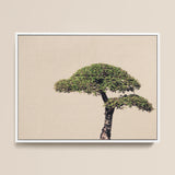 Me Myself & Bonsai - Photography Art Print / Canvas Framed Minimalist Art Print Stylized Dark-barked Tree Lush Bonsai Photography,