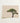Minimalist Canvas Print Single Lush Green Tree Textured Bonsai Art Photography, Horticultural Haiku, Photographic Ode