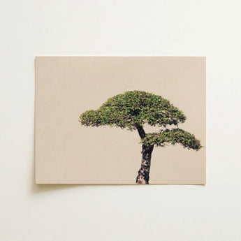 Me Myself & Bonsai - Photography Art Print / Canvas Minimalist Canvas Print Single Lush Green Tree Textured Bonsai Art Photography,