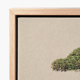 Minimalist Framed Canvas Print Lush Green Bush Textured Bonsai Art Photography, Horticultural Haiku, Photographic Ode