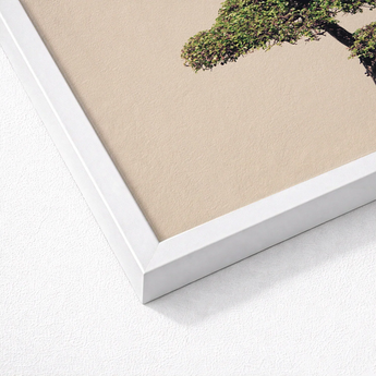 White Framed Art Print Minimalist Tree Beige Background Bonsai Photography, Horticultural Haiku, Photographic Ode
