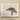 Me Myself & Bonsai - Photography Art Print, Framed Photograph Bonsai Tree Two Distinct Tiers Foliage