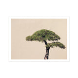 Me Myself & Bonsai - Fotografie-Kunstdruck / Leinwand, 16x12’’ / 41x31cm / Ungerahmt / Weißer Rand, Poster Drucke visuelles Kunstwerk, Toby Leon