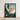 Framed Botanical Illustration Cluster White Yellow Red Flowers Robert John Thornton, Nodding Renealmia, Thornton’s