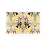 Oiseaux-mouches et Orchidées - Maurice Pillard Verneuil Print / Canvas Floral Pattern Iris Flowers White Brown Green Yellow Maurice